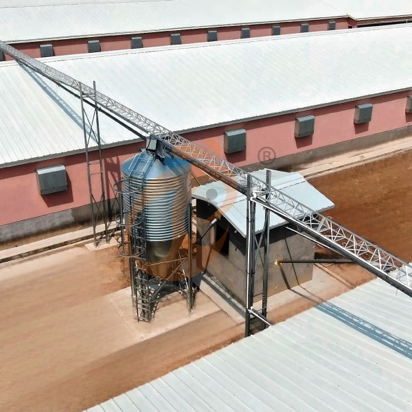 deep litter system - feed silo (2)