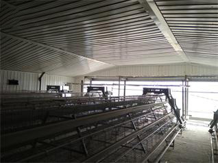 Luoto finished breeder chicken cage project in Wes Luoto finished breeder chicken cage project in Wes