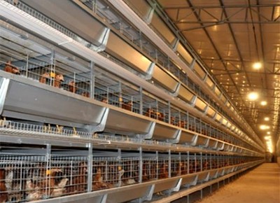 How to preventing battery cage from rusting in chi