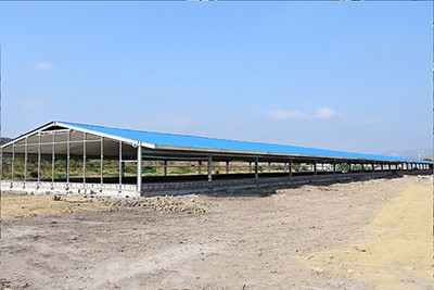 The requestment of buliding poultry house in poult