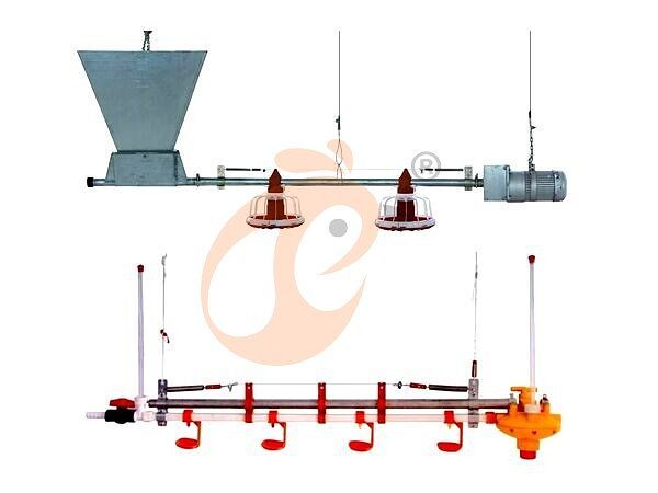 1761631572841677579359072256 deep litter system (12)