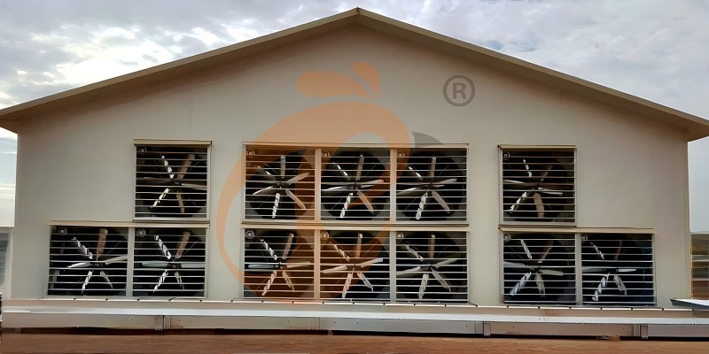 1763434708849240479317741568 poultry house ventilation (3)