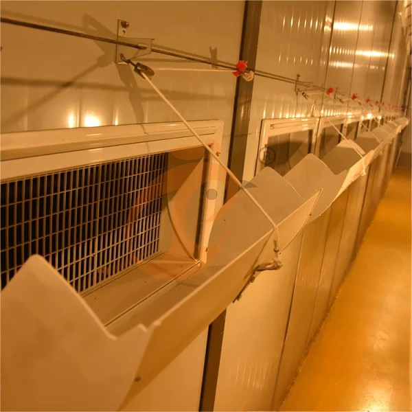 1763434716849240512448548864 poultry house ventilation 2 (3)