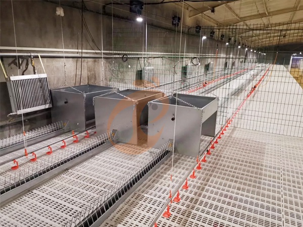 Feed System1 (2)