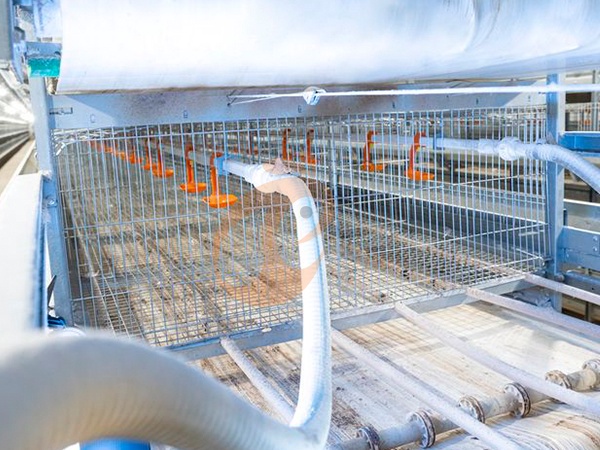 Как оптимизировать планировку оборудования на птицефабрике | 6 практических советов по планированию пространства Как оптимизировать планировку оборудования на птицефабрике | 6 практических советов по планированию пространства