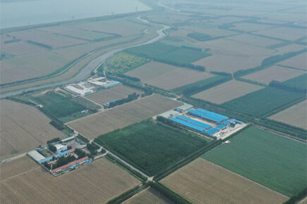 Luoto finished 200,000 birds capacity battery cage