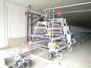 Luoto finished breeder chicken cage project in Wes Luoto finished breeder chicken cage project in Wes