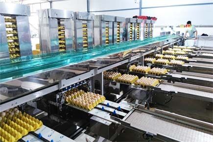 Luoto finished layer project of 30,000 square mete Luoto finished layer project of 30,000 square mete