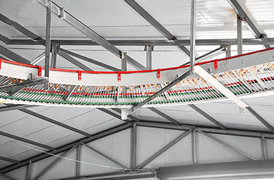 Luoto finished layer project of 60,000 birds in So Luoto finished layer project of 60,000 birds in So