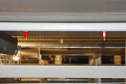 Luoto finished layer project of automatic chicken Luoto finished layer project of automatic chicken