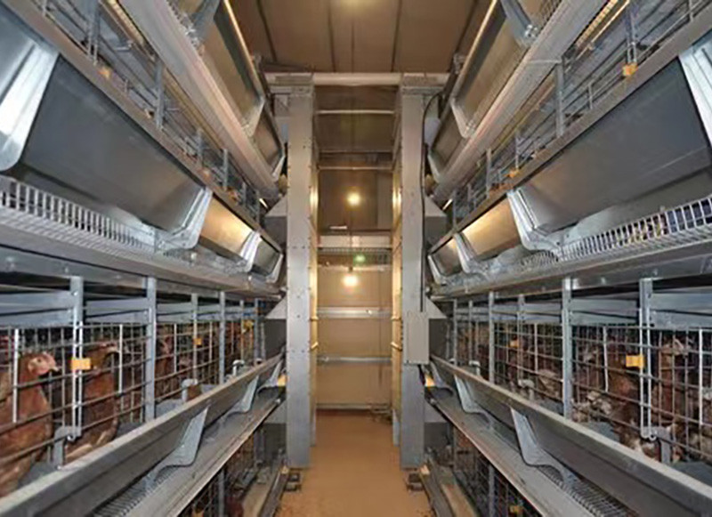 Automatic feeding system(1).jpg Automatic feeding system(1).jpg