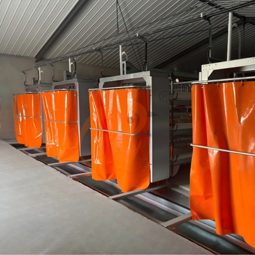 battery cage system for layer (2)