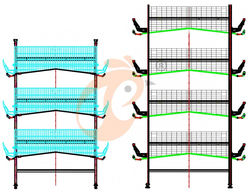 battery cage system for layer (17)