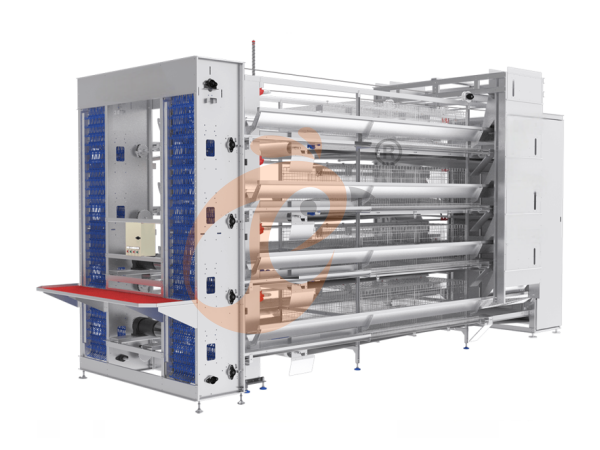 chicken battery cage poultry farm 1 (20)