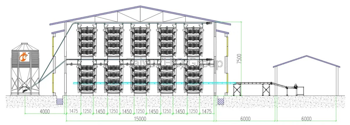 100,000 Egg Chickens Per Poultry House Design Drawing