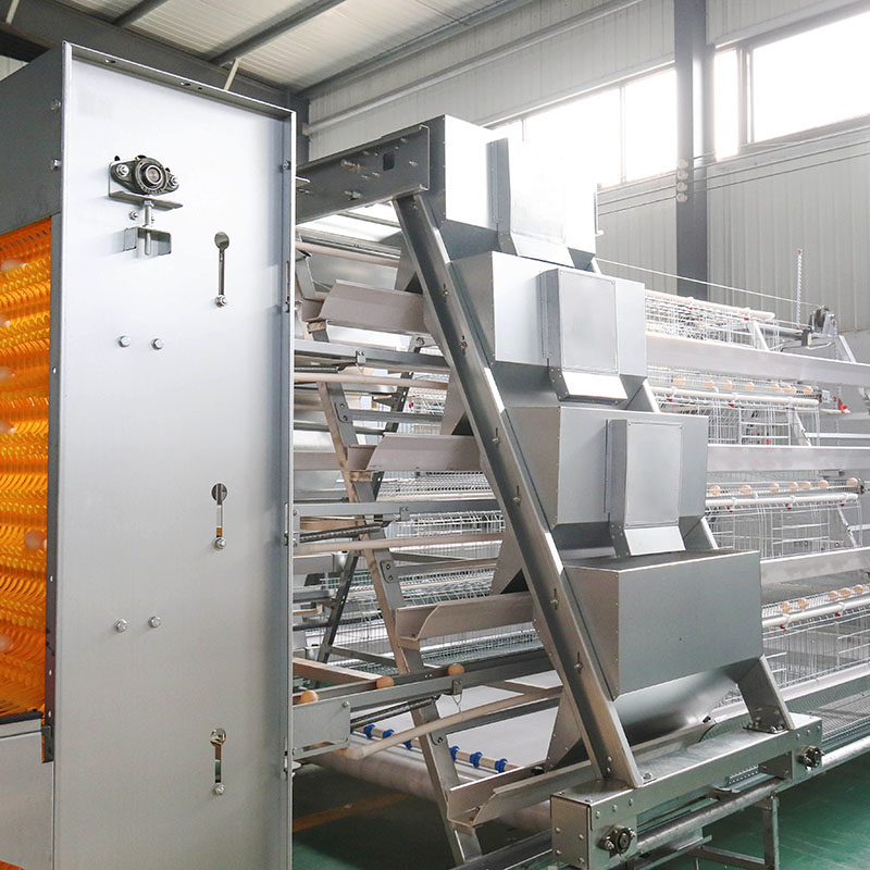 كيفية تقييم مصنع أقفاص دجاج البياض في نيجيريا كيفية تقييم مصنع أقفاص دجاج البياض في نيجيريا