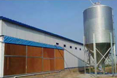 Luoto finished layer project of 500,000 birds in M