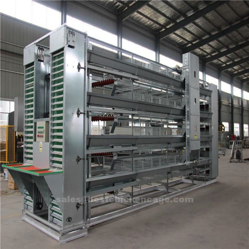 Benefits of battery cages for layers providing an affordable option for poultry farmers higher productivity