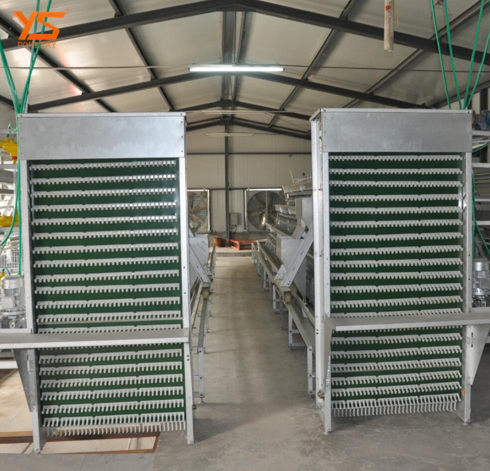 ¿Qué es la jaula de gallinas ponedoras? Las gallinas ponedoras pueden lograr una tasa de producción del 85% al 95% durante los períodos pico de puesta