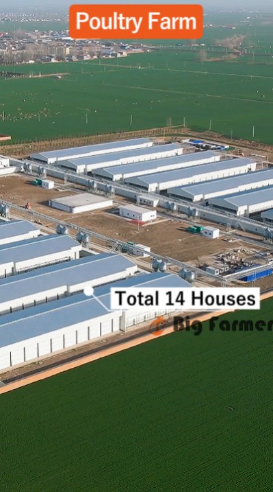 Layer battery cage system (4) Layer battery cage system (4)