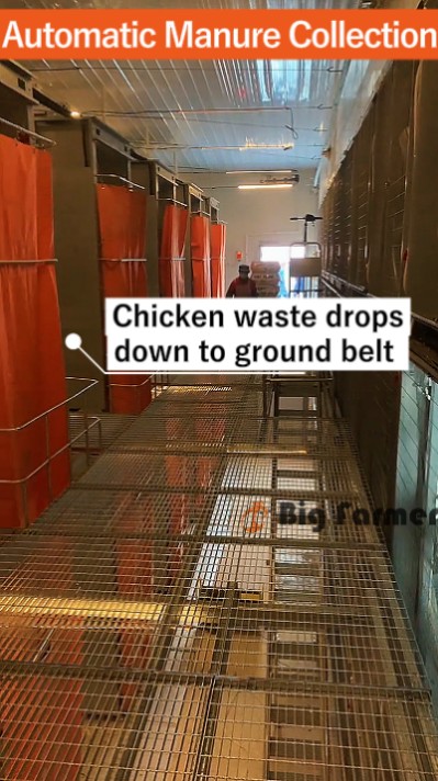 Layer battery cage system (12) Layer battery cage system (12)