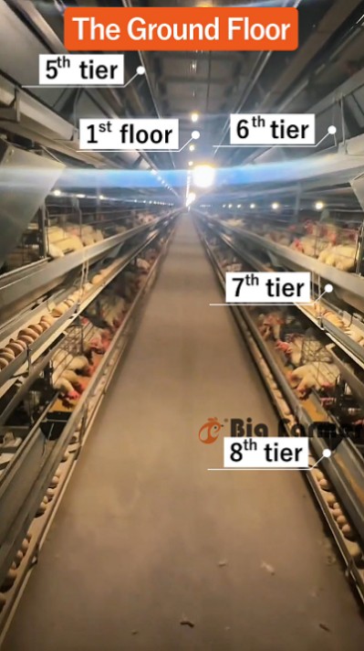 Layer battery cage system (14) Layer battery cage system (14)