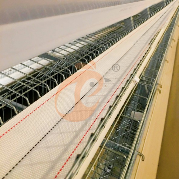 battery cage system for layer (16) battery cage system for layer (16)