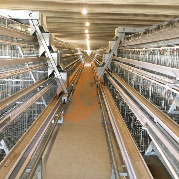 battery cage system for layer (19) battery cage system for layer (19)