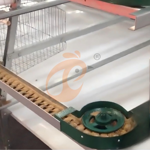 battery cage system for layer (1) battery cage system for layer (1)