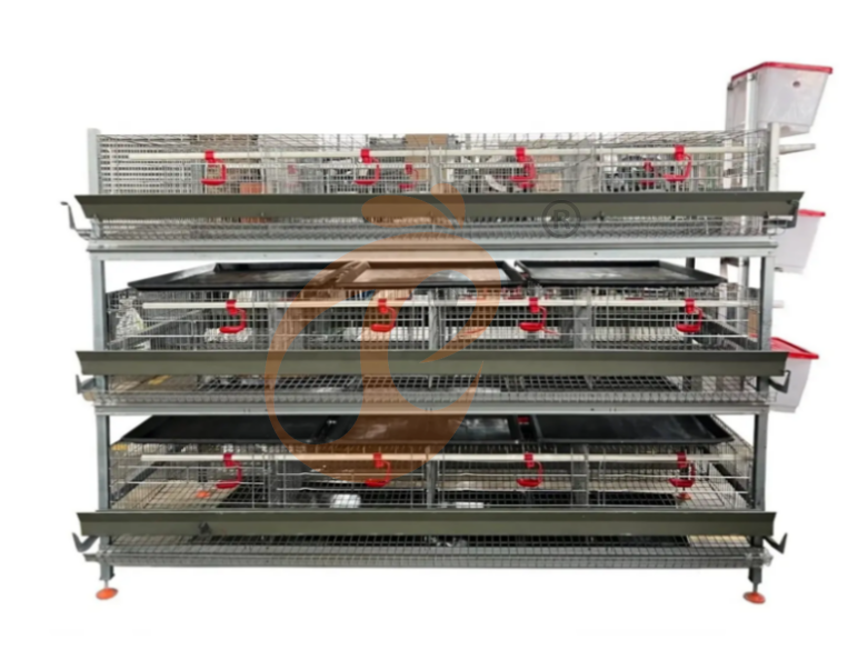 Sistema de jaulas en batería para criadoras con estructura en H semiautomático