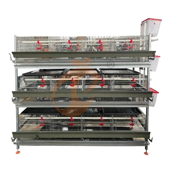 Battery cage system for brooder (2)