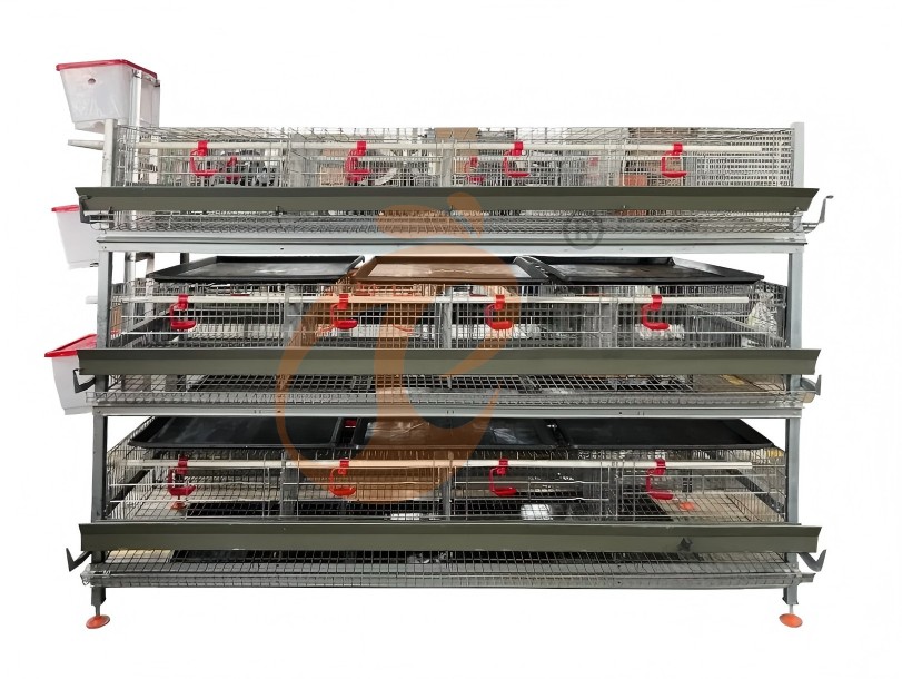battery cage system for broiler (1) battery cage system for broiler (1)