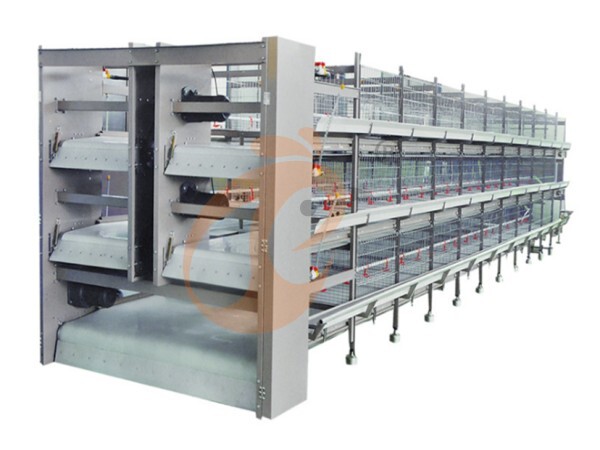 Análisis Estructural Avanzado de Jaulas Avícolas: Cálculos de Carga Análisis Estructural Avanzado de Jaulas Avícolas: Cálculos de Carga