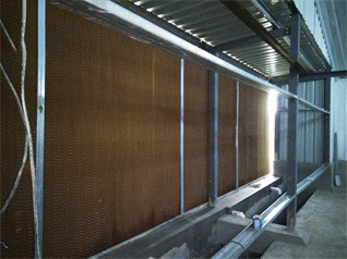 Luoto finished breeder chicken cage project in Wes