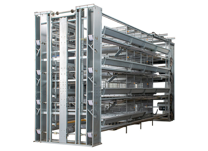 Pullet chicken cage (1).jpg Pullet chicken cage (1).jpg