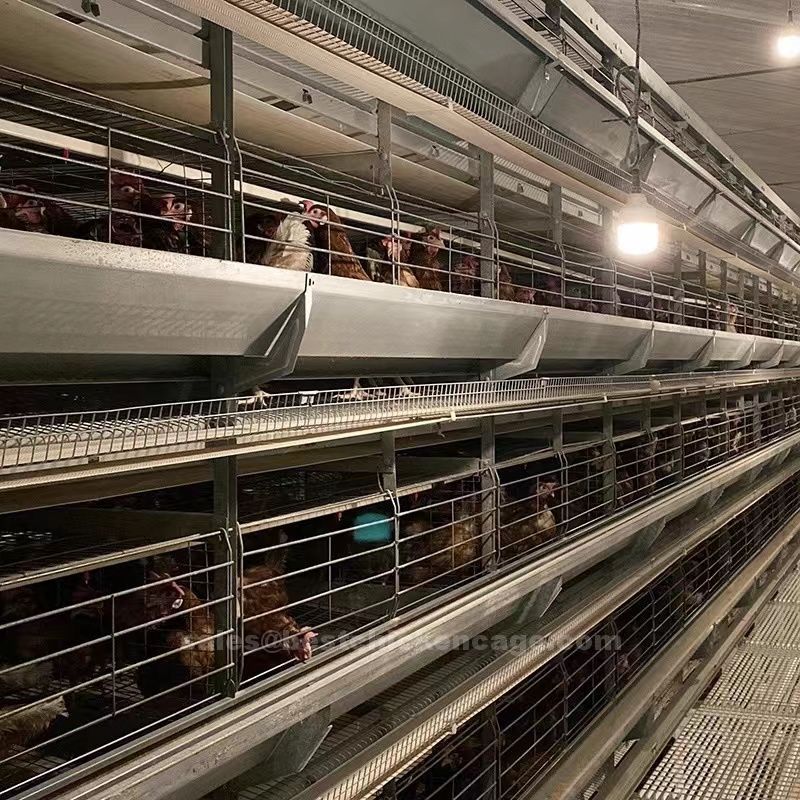 The advantage of fowl cage used in poultry farm