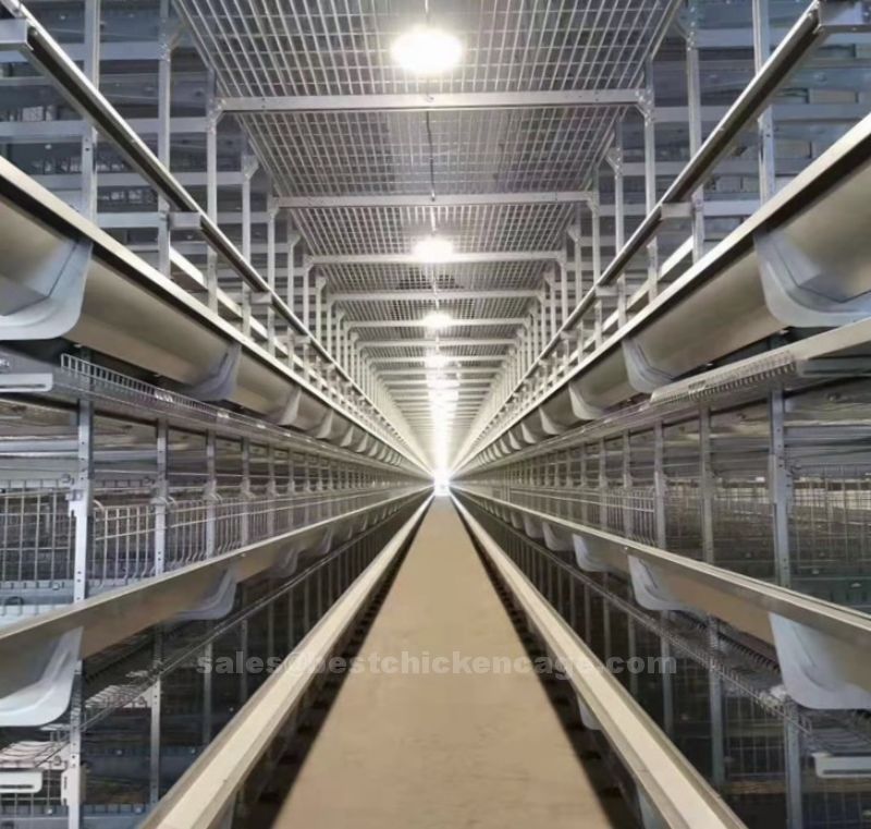 鸡笼或蛋鸡笼H (46).jpg Automatic ladder-type H-type chicken cage which can be beneficial for both small-scale and large-scale poultry operations