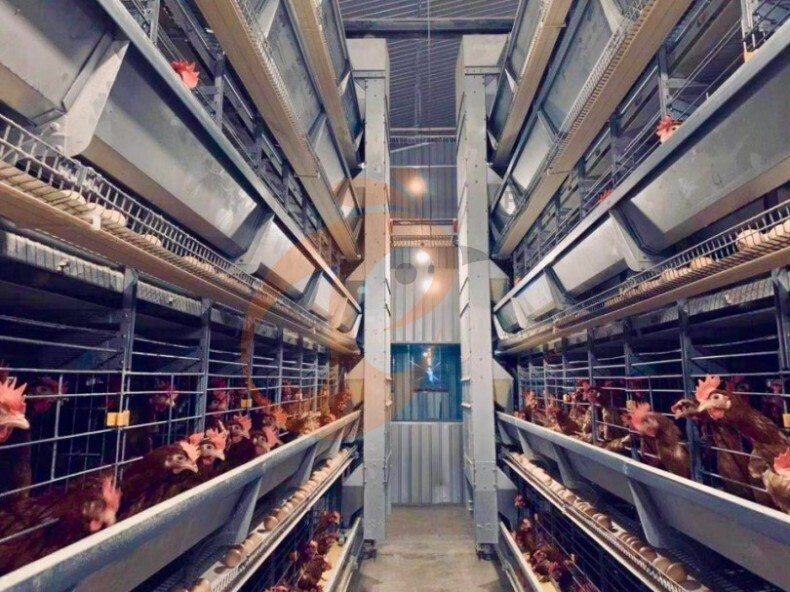 Système automatique de cage de batterie en couches à cadre en H