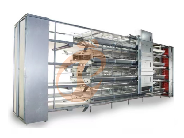 Les Coûts Cachés Des Cages à Poules Pas Chères Que Vous Devez Connaître