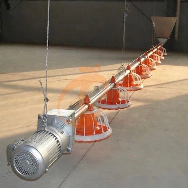 deep litter system (17)