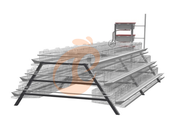 Prix à l'exportation du système de cages pour volailles éthiopien : 5 facteurs de coût internationaux
