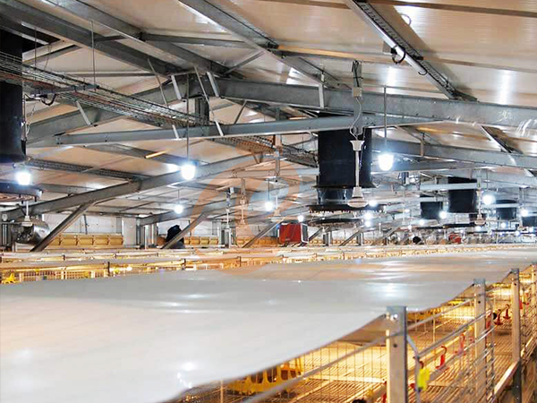 Guide d'achat des équipements d'éclairage pour poulailler : prix, efficacité énergétique et performances Chicken Coop Lighting Equipment2 (1)