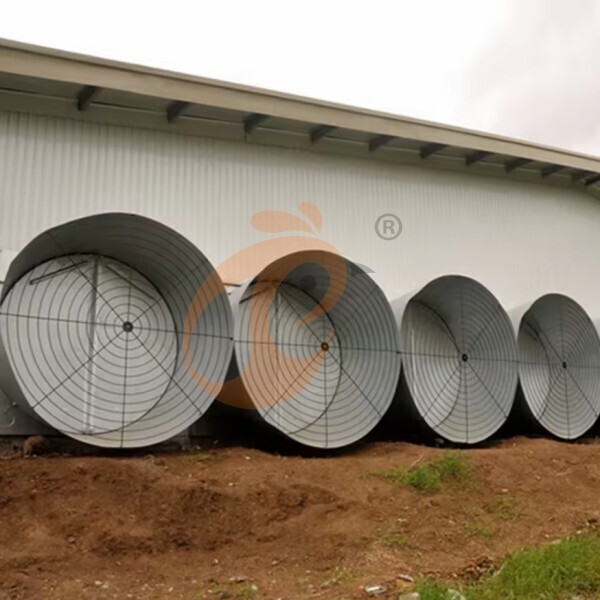 deep litter system 1 (9)