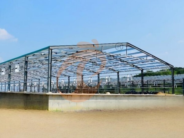 Prefab steel poultry house (1) Prefab steel poultry house (1)