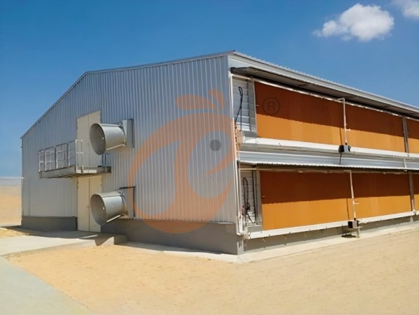 Prefab steel poultry house (6) Prefab steel poultry house (6)
