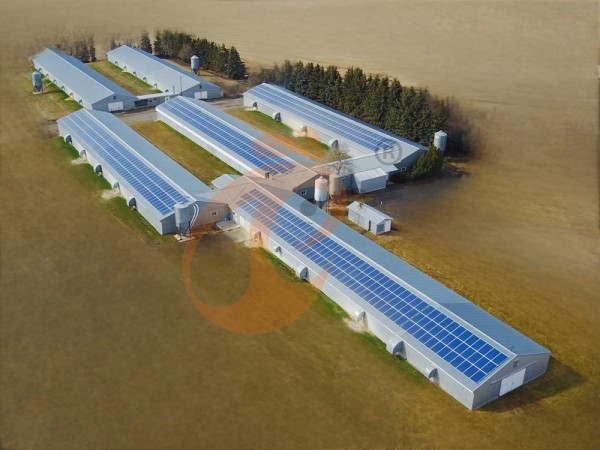 Prefab steel poultry house (11) Prefab steel poultry house (11)