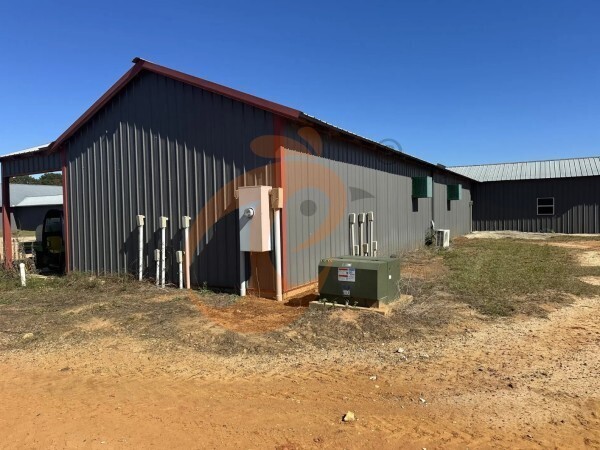 poultry farm (1) poultry farm (1)