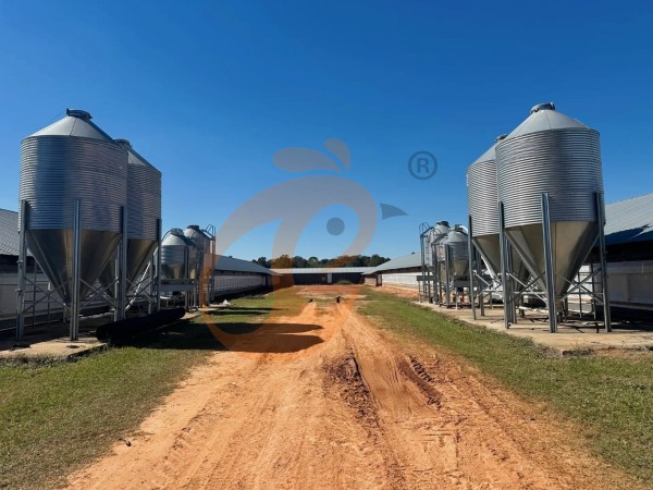 poultry farm (4) poultry farm (4)