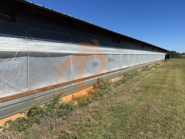 poultry farm (6) poultry farm (6)