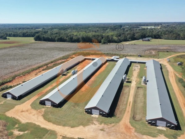 poultry farm (11) poultry farm (11)